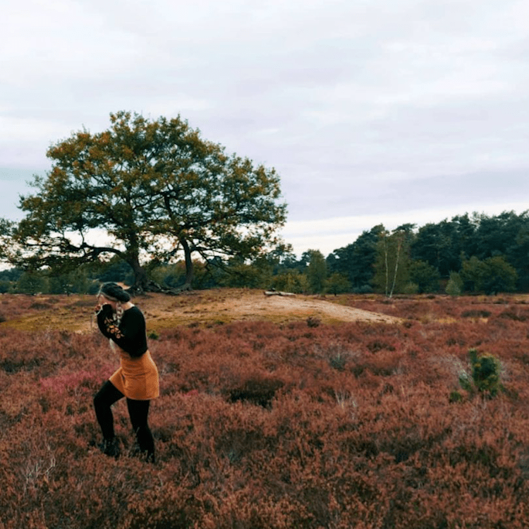 The Cowardly Lion – Birth&nbsp;Chart