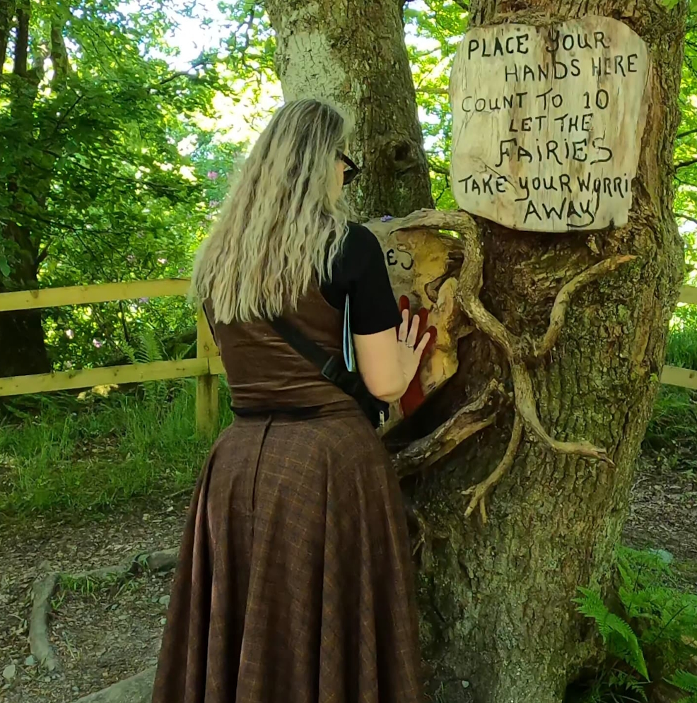 A Wish the Heart&nbsp;Makes